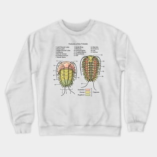 Trilobite Morphology Diagram Crewneck Sweatshirt